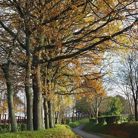 Cour Tholmer Oda ve Kahvaltı 3*