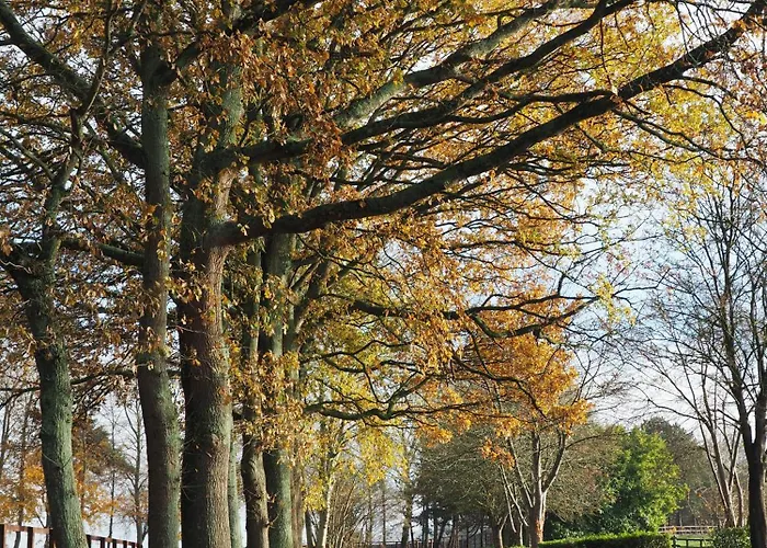Cour Tholmer Alojamento de Acomodação e Pequeno-almoço 3*