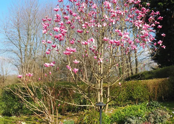 Alojamento de Acomodação e Pequeno-almoço Cour Tholmer